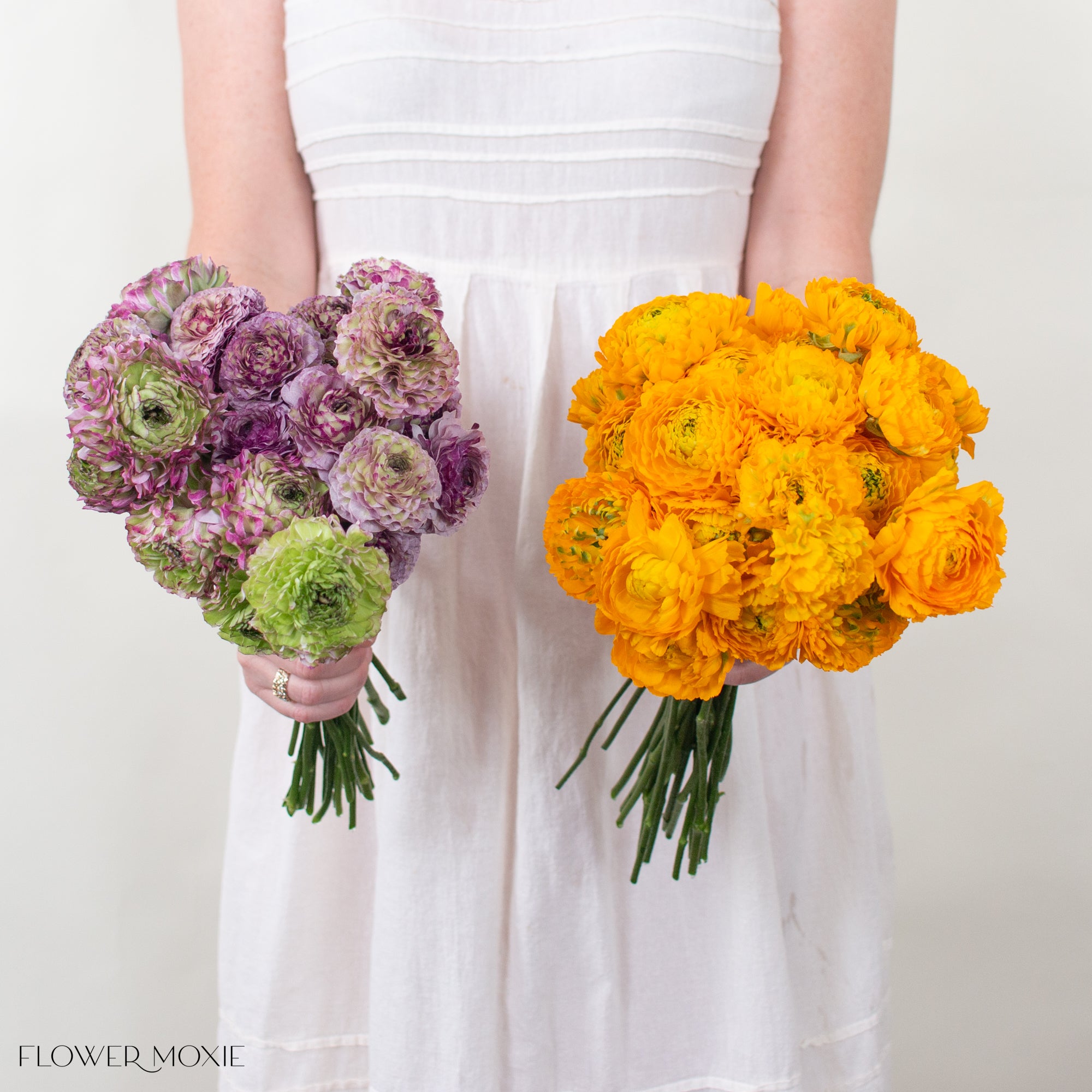 specialty pon pon lavender and yellow ranunculus