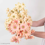 Peach and Beige Mini Gerberas Mixed Box
