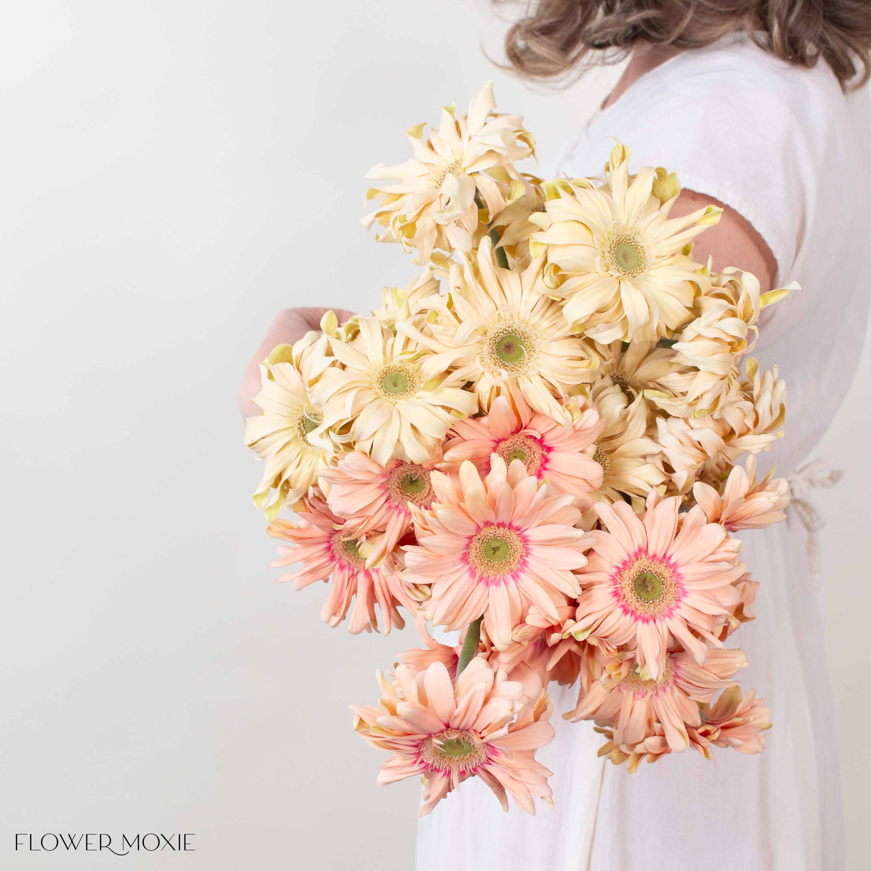 Peach and Beige Mini Gerberas Mixed Box

