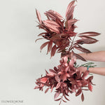 Tinted Bronze Greenery Mixed Box