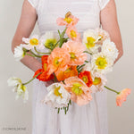 Assorted Poppy Flowers
