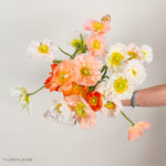 Assorted Poppy Flowers
