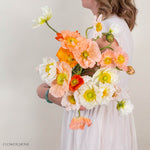 Assorted Poppy Flowers

