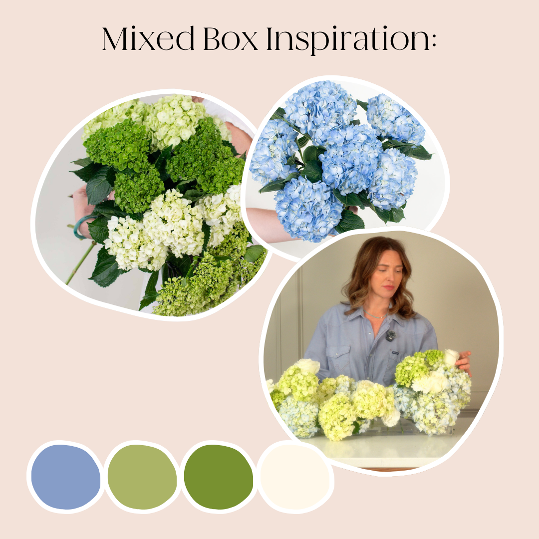 Build Your Own Hydrangea Box