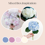 Build Your Own Hydrangea Box