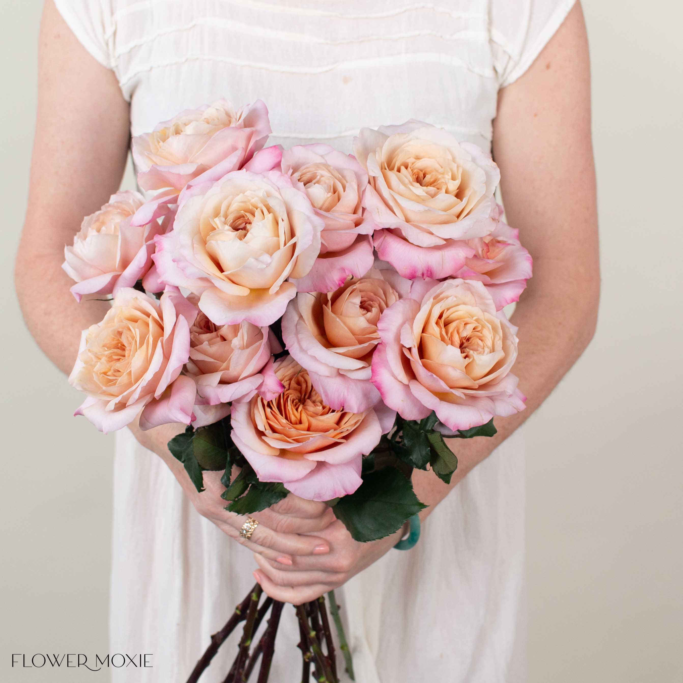 花 MIYABI Golden Blush Miyabi Brown Garden Rose | DIY Wedding Flowers