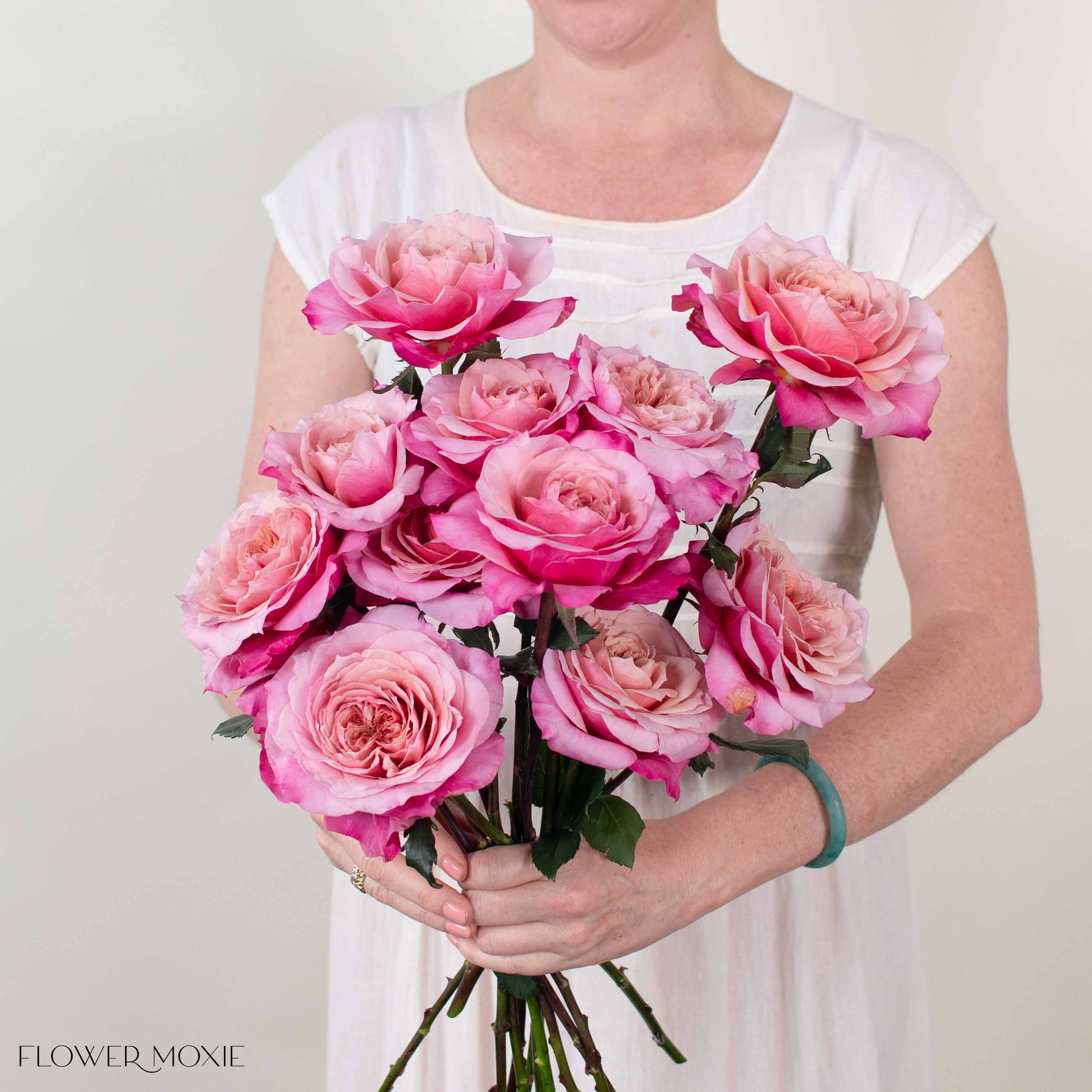 Coral Pink Miyabi Garden Rose | DIY Wedding Flowers | Flower Moxie