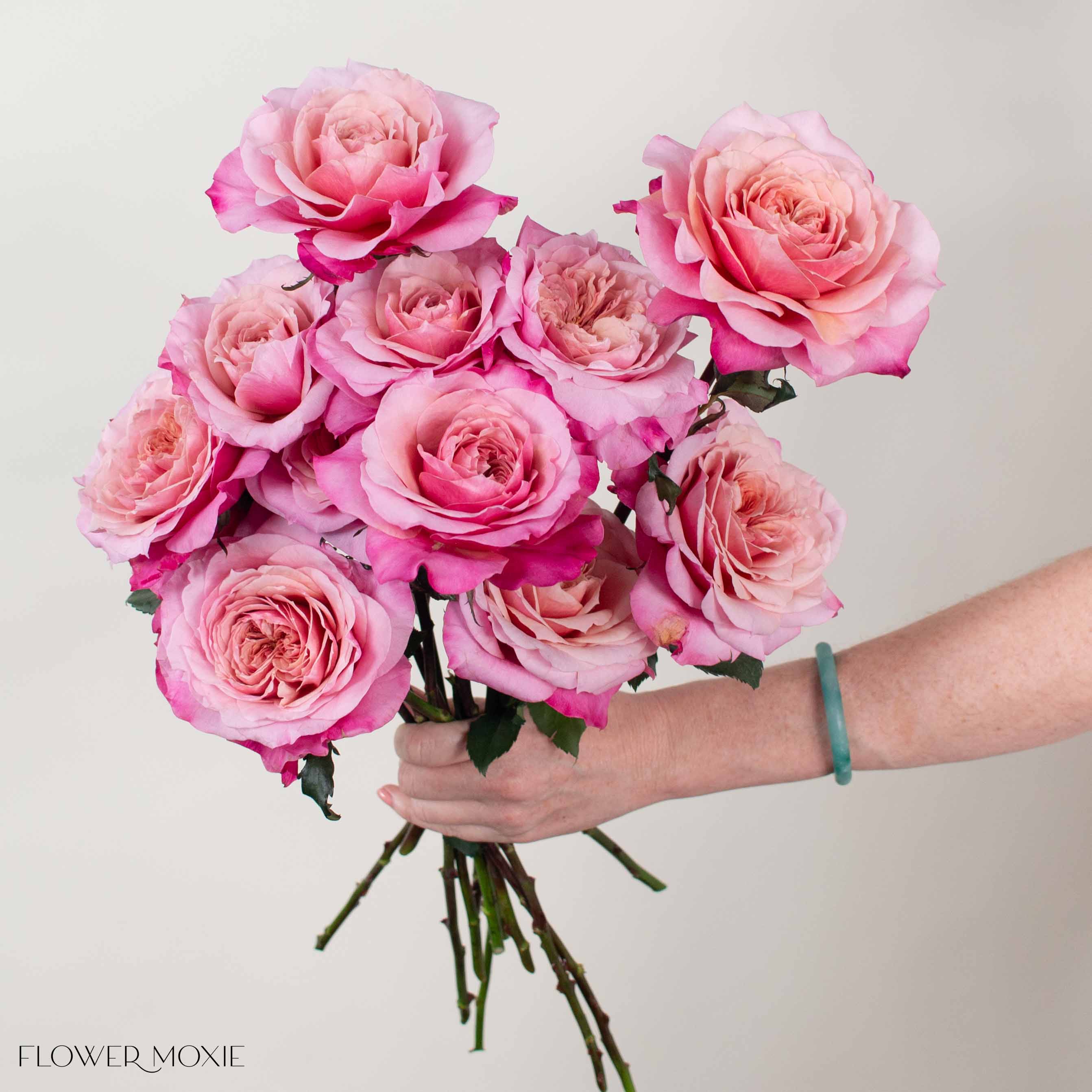 Coral Pink Miyabi Garden Rose | DIY Wedding Flowers | Flower Moxie