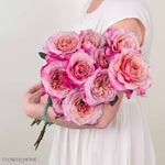 Coral Pink Miyabi Garden Rose
