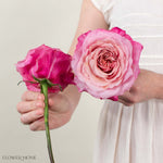 Coral Pink Miyabi Garden Rose
