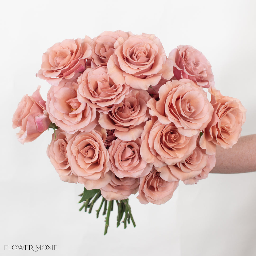 Moff Roses Dusty Terracotta Moab Roses | DIY Wedding Flowers | Flower Moxie