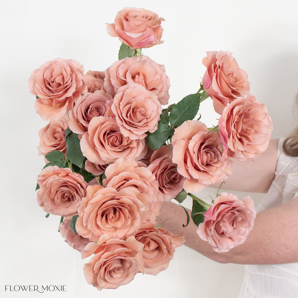 Moab_Rose-9_grande.jpg?v=