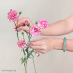 Mocha Sweet Mini Carnation Flower