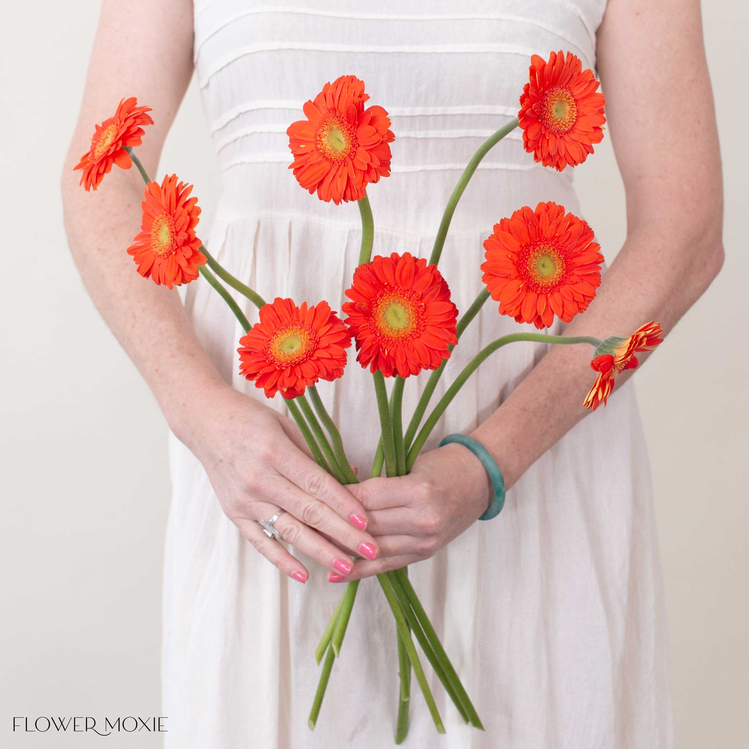Orange Mini Gerbera Daisies | Fresh DIY Wedding Flowers | Flower Moxie