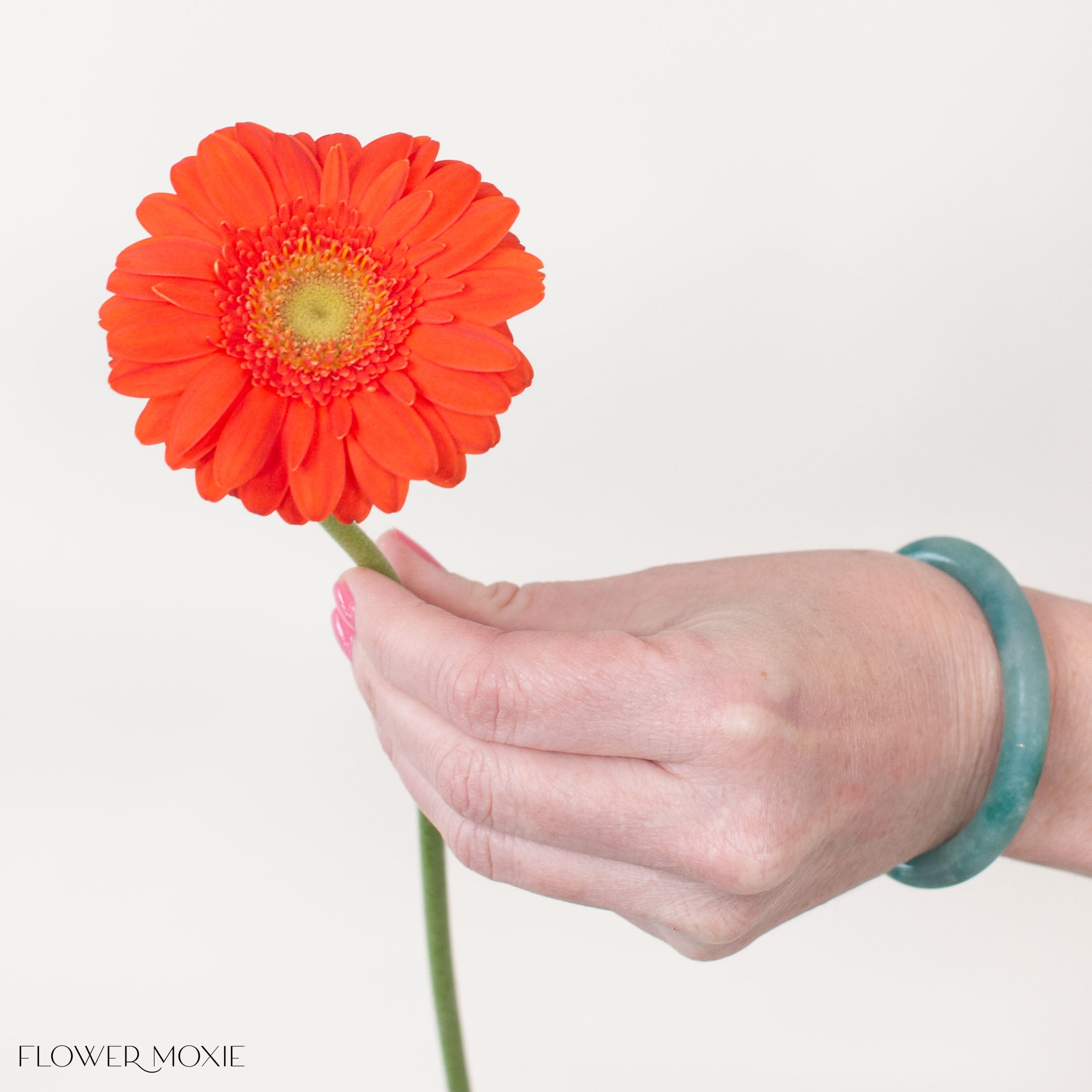 Orange Mini Gerbera Daisies | Fresh DIY Wedding Flowers | Flower Moxie