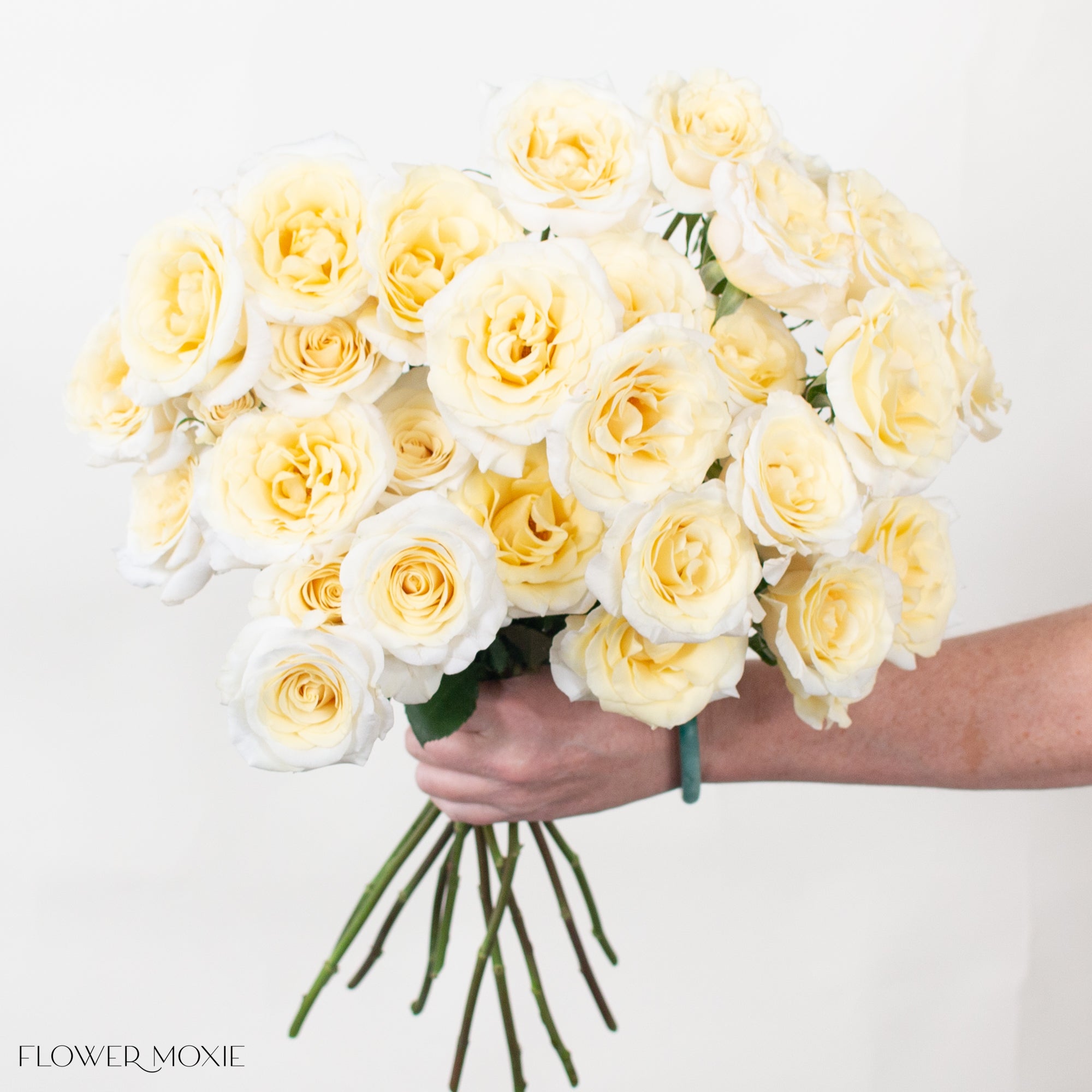 new moon yellow spray roses