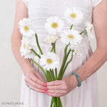 Opus White Mini Gerbera
