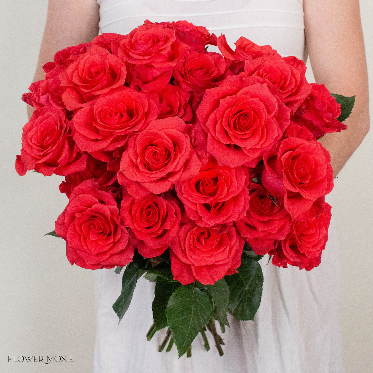 Deep Orange Crown Rose