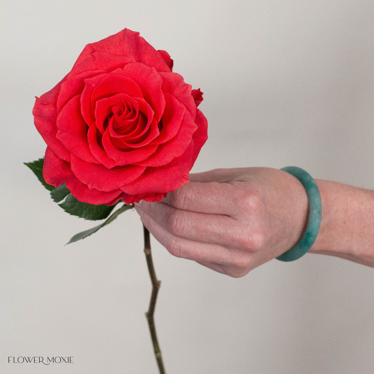 Deep Orange Crown Rose