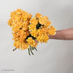 Yellow Hashtag Spray Roses