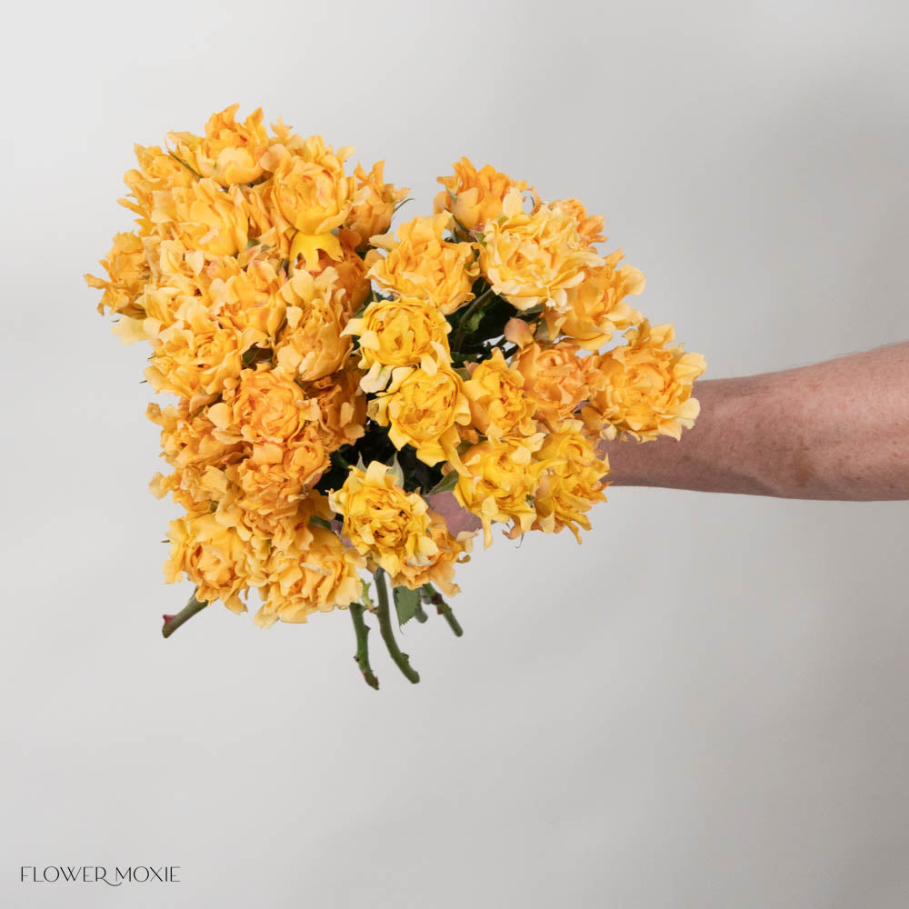 Yellow Hashtag Spray Roses