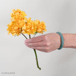 Yellow Hashtag Spray Roses
