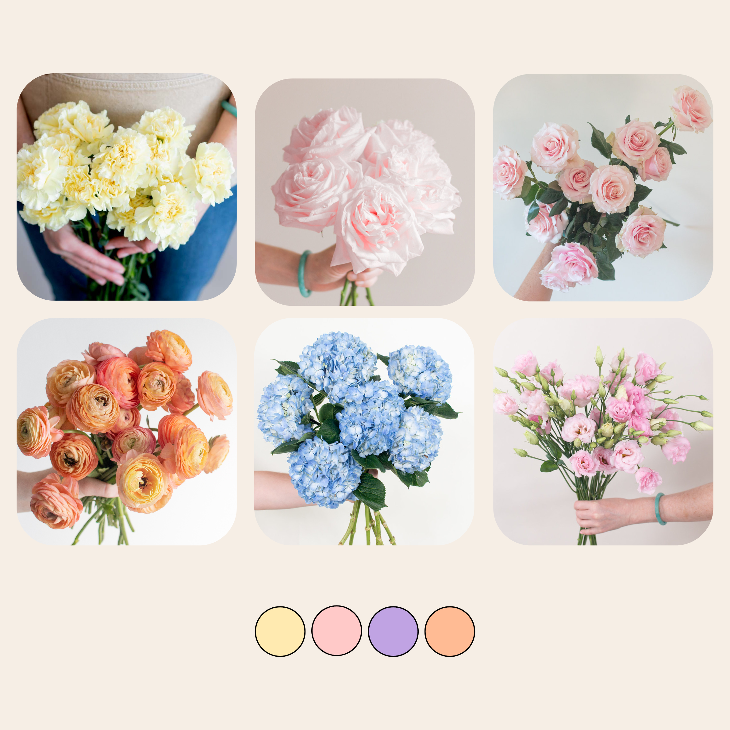 Pastels Sample Box