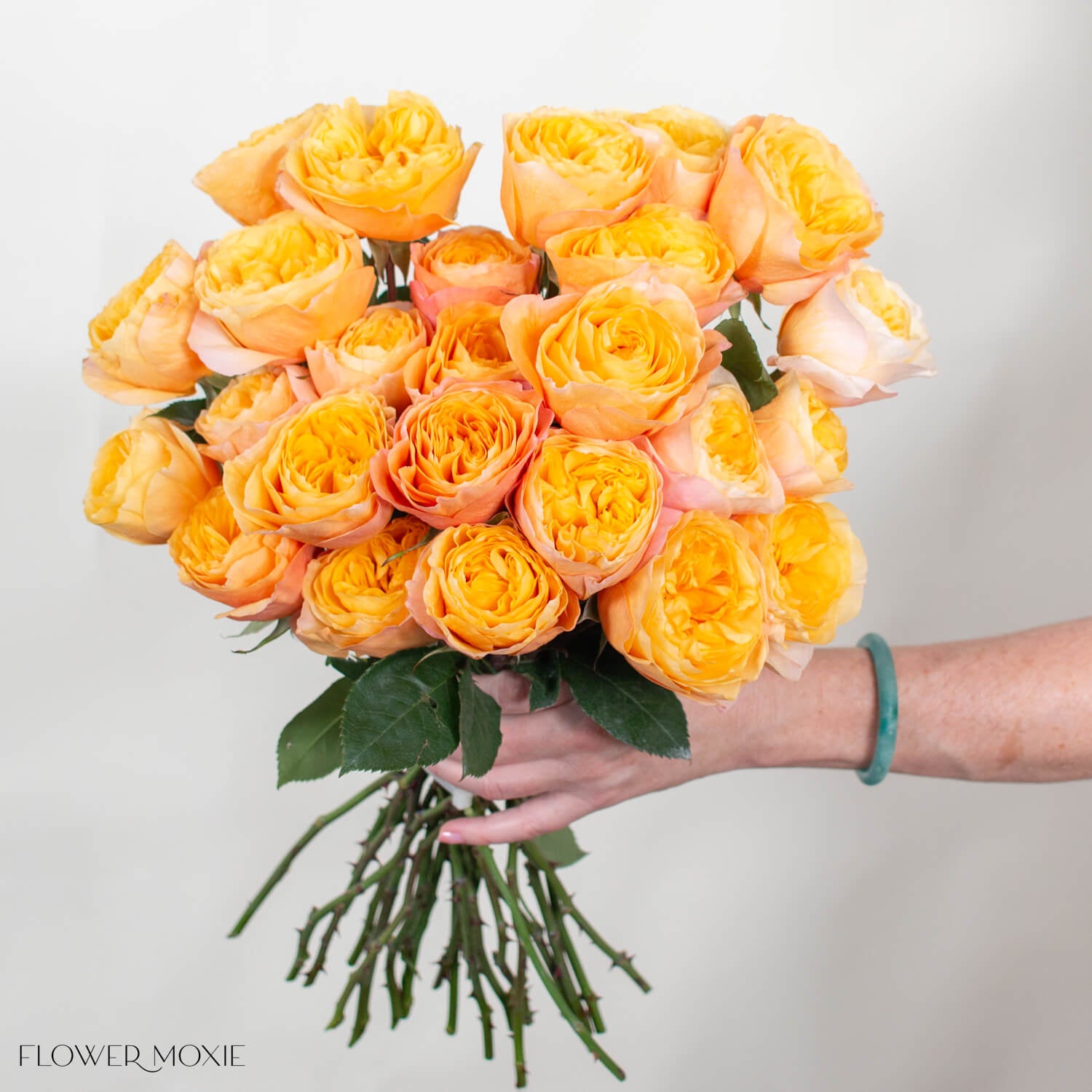 Golden King's Cross Garden Rose | DIY Wedding Flowers | Flower Moxie