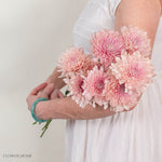 Peach Cremone Flower
