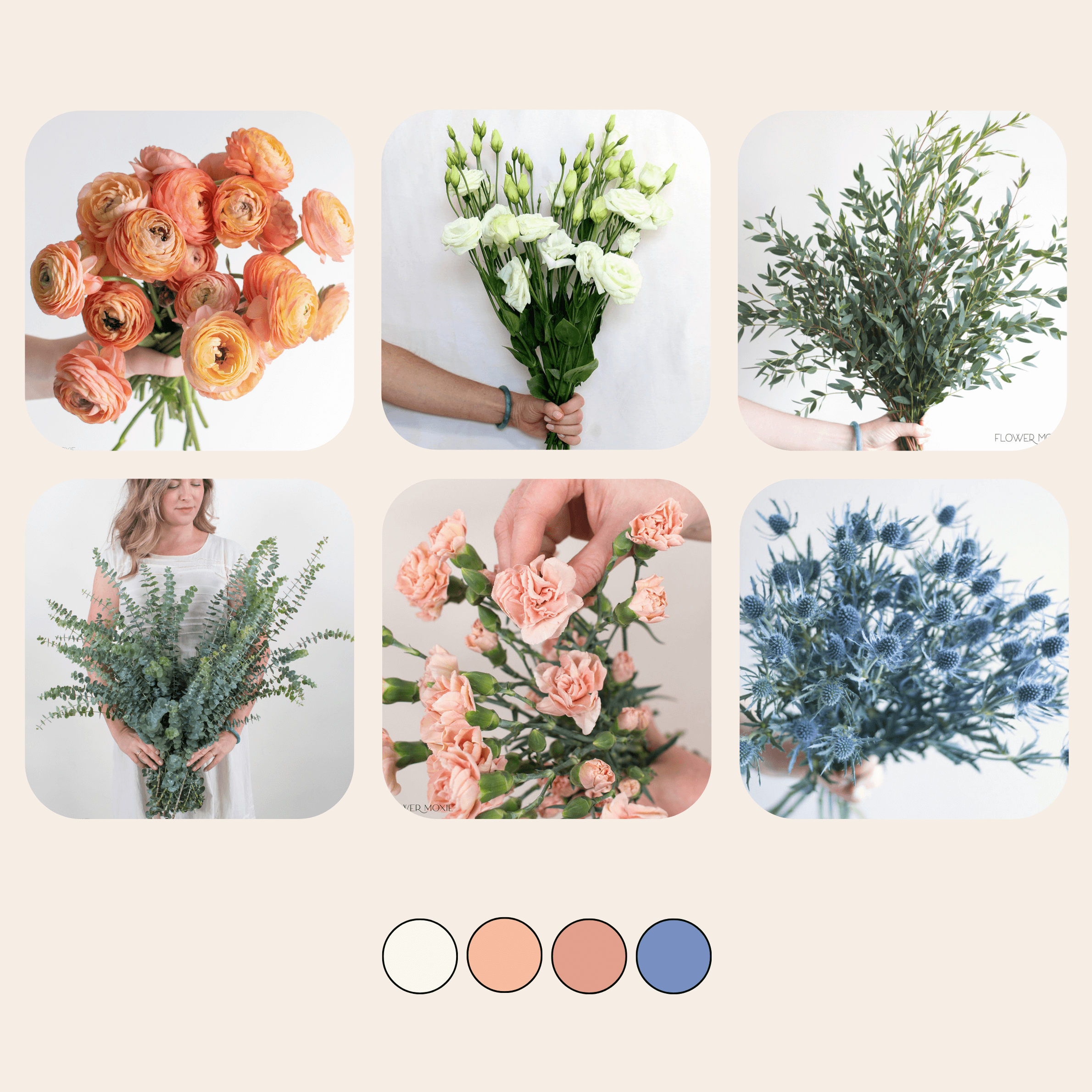 Blue and Indigo Mixed Flower Boxes | Bulk Fresh Wholesale Flowers ...