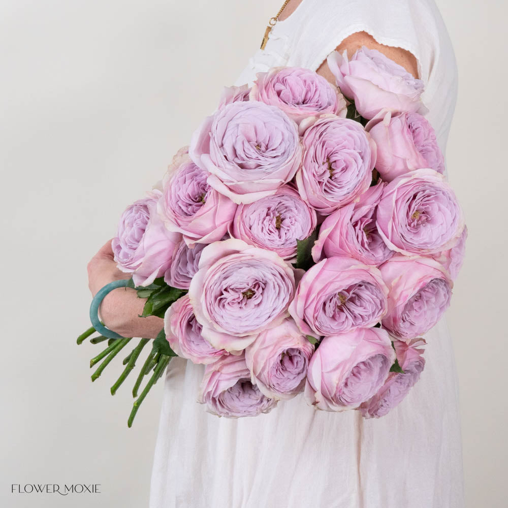 Pink Lavender Peonikiss Rose