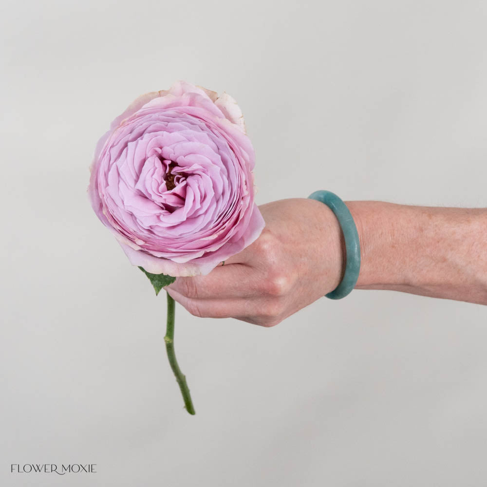 Pink Lavender Peonikiss Rose