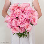 Pink Babaloo Rose