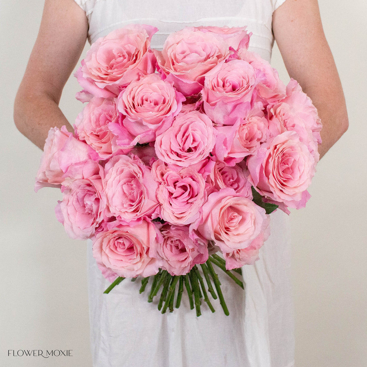 Pink Babaloo Rose