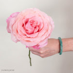 Pink Babaloo Rose