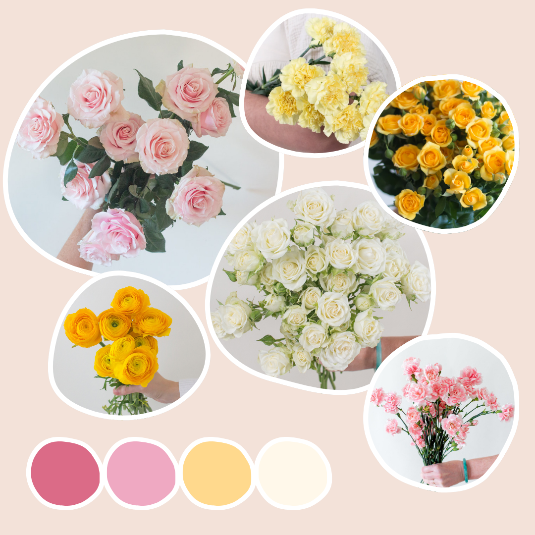 Pink Lemonade Sample Box
