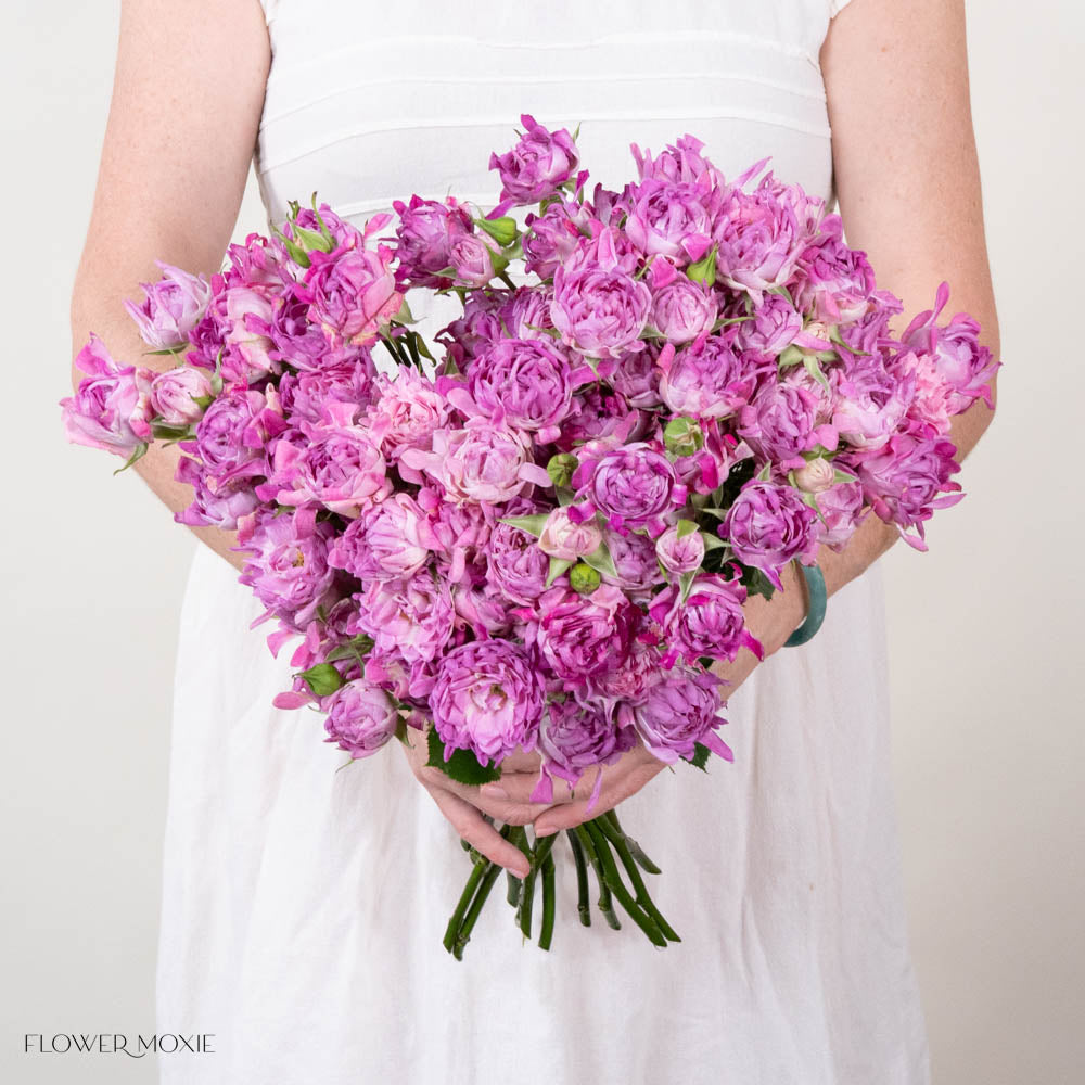 Lavender Hashtag Spray Roses