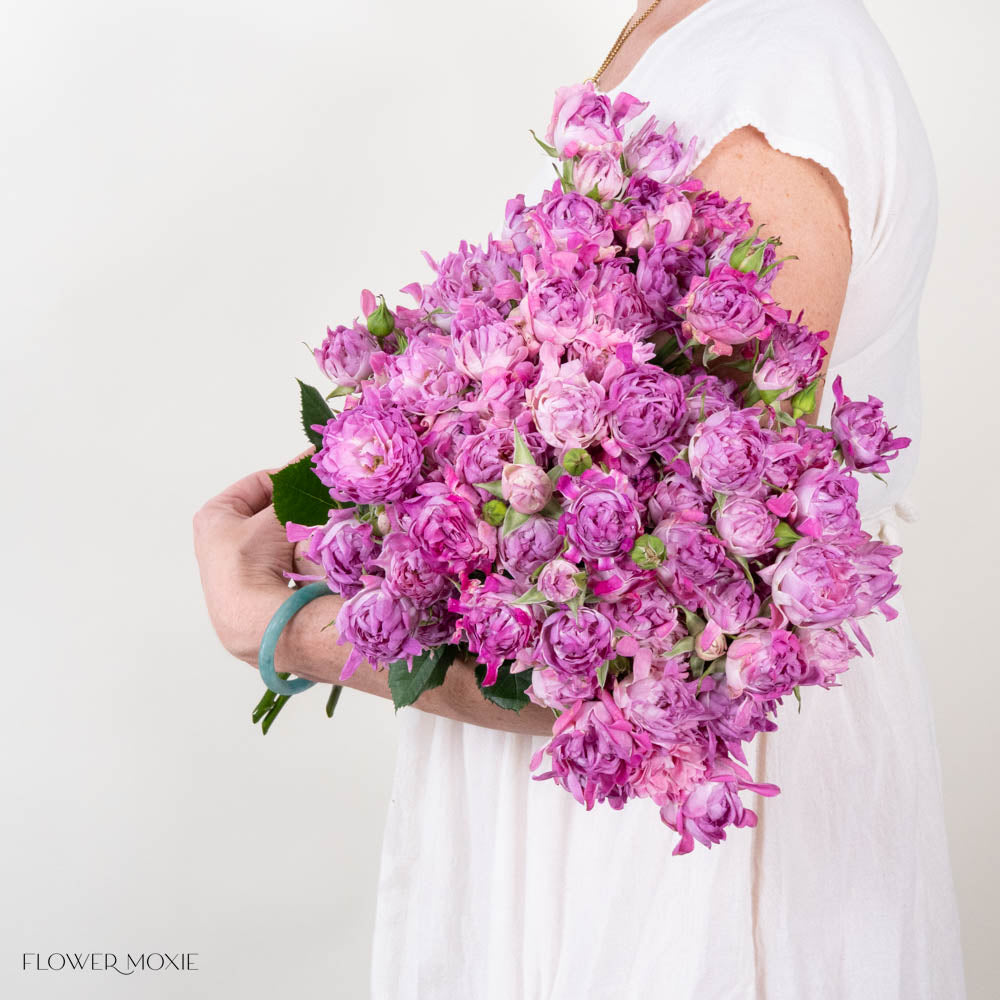 Lavender Hashtag Spray Roses