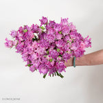 Lavender Hashtag Spray Roses