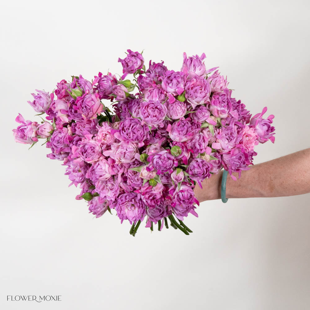 Lavender Hashtag Spray Roses