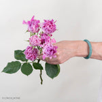 Lavender Hashtag Spray Roses