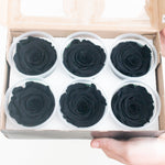 black preserved roses