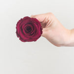 deep berry red preserved roses