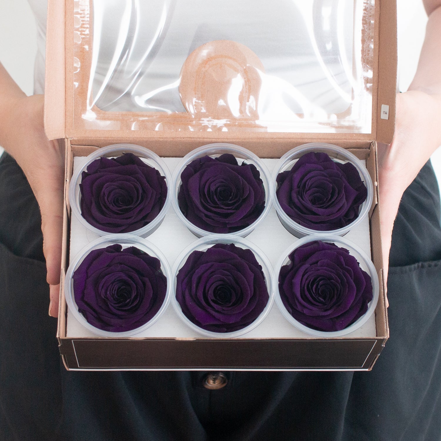 dark purple preserved roses