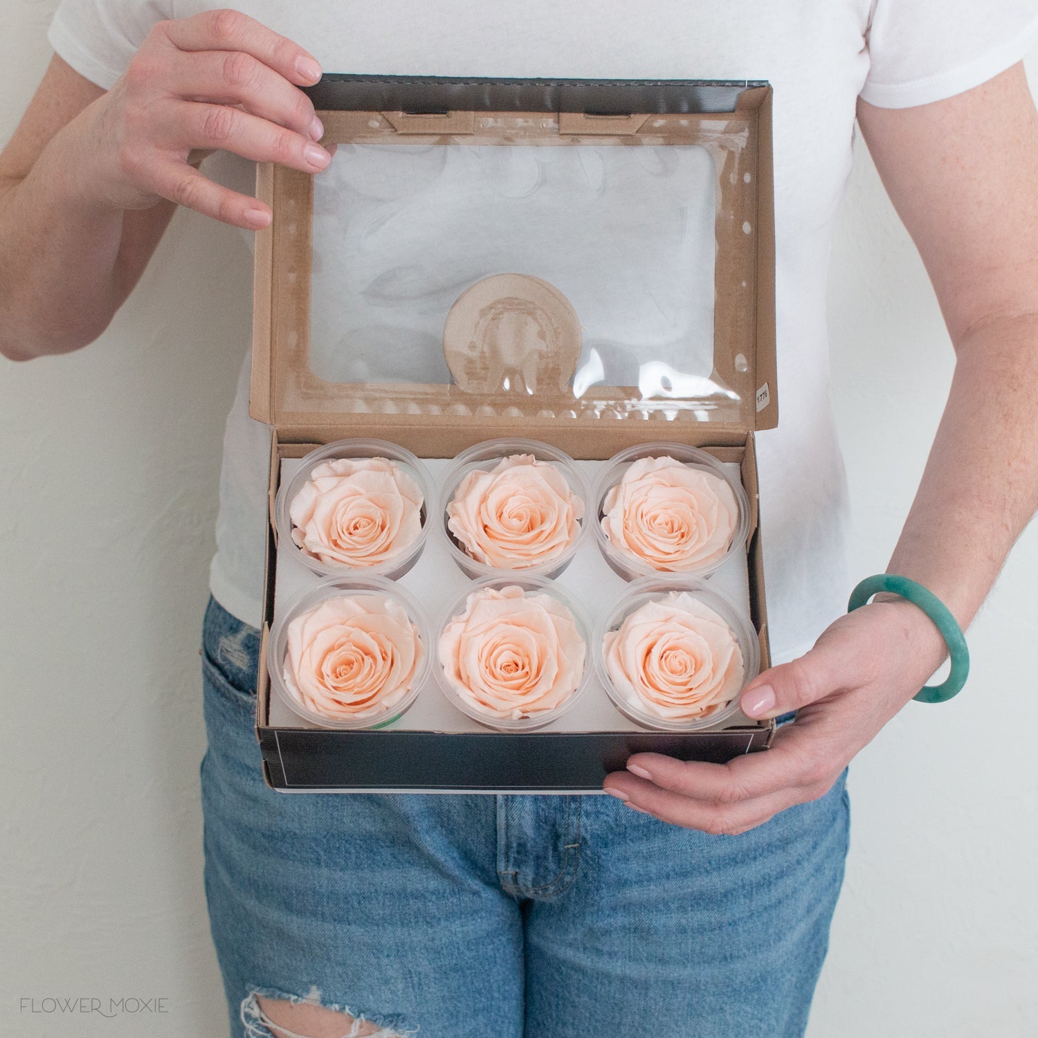 light peach preserved roses