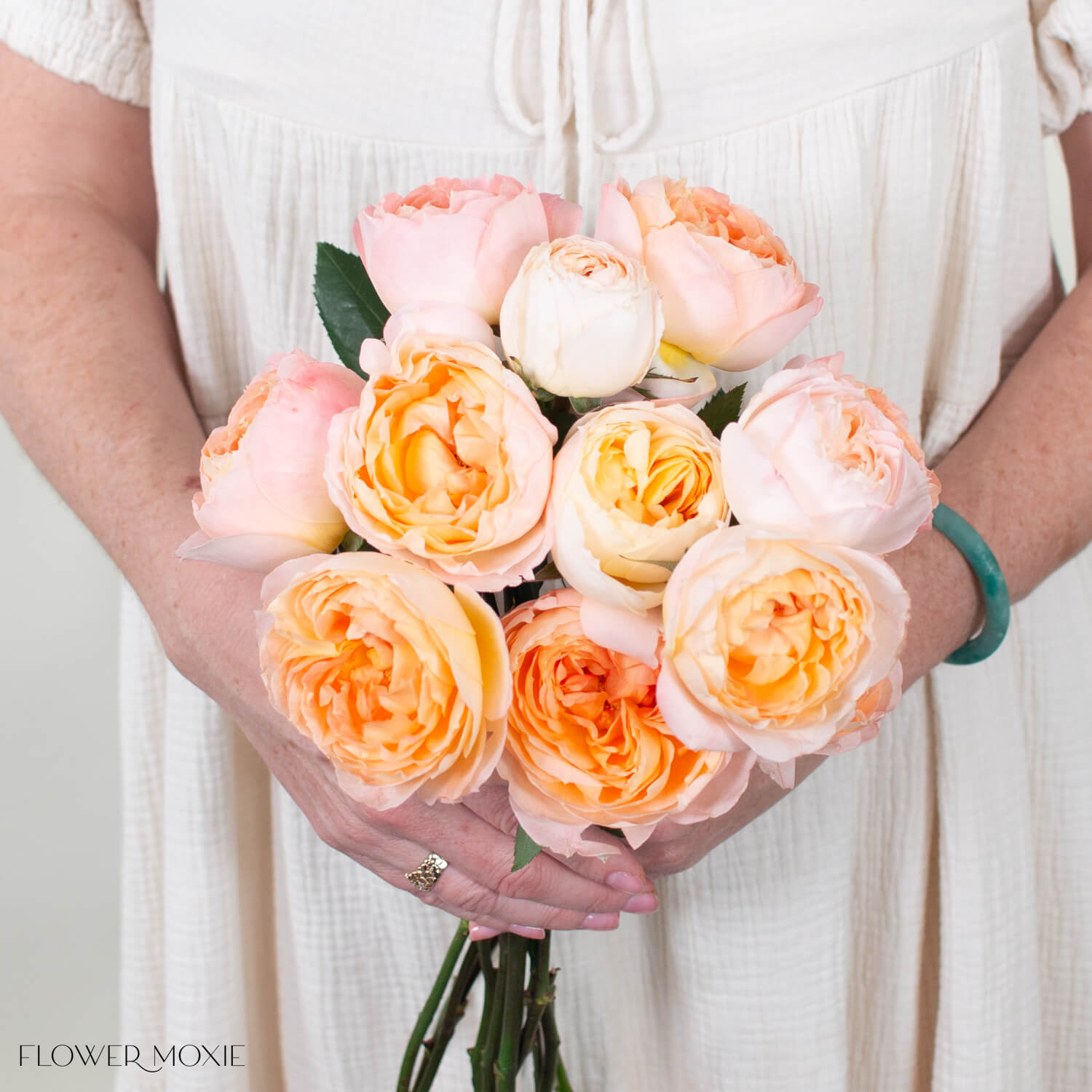 Peach Princess Aiko Garden Rose | DIY Flowers | Flower Moxie