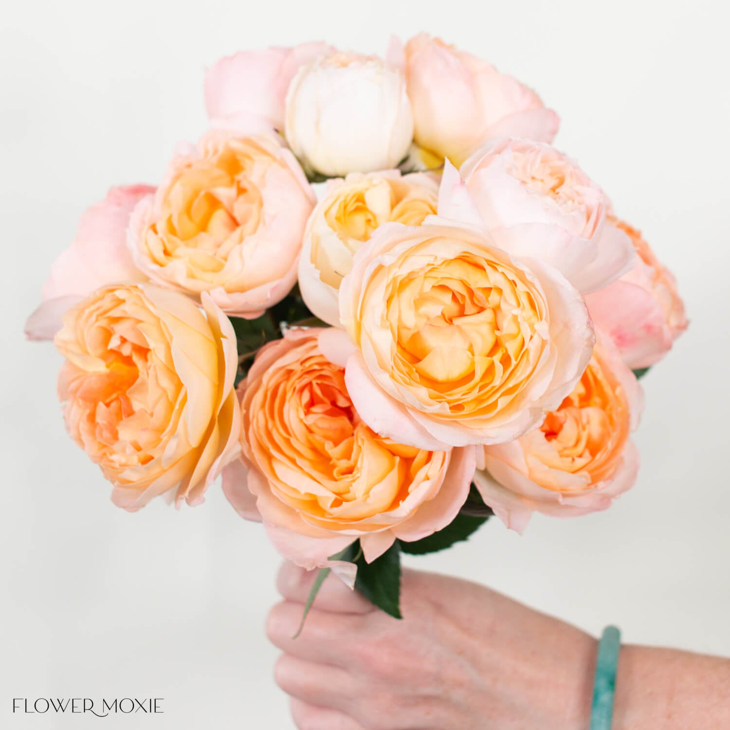Princess Aiko Garden Rose | DIY Flowers | Flower Moxie
