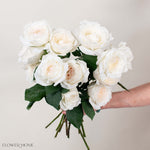 White Princess Miyuki Garden Rose
