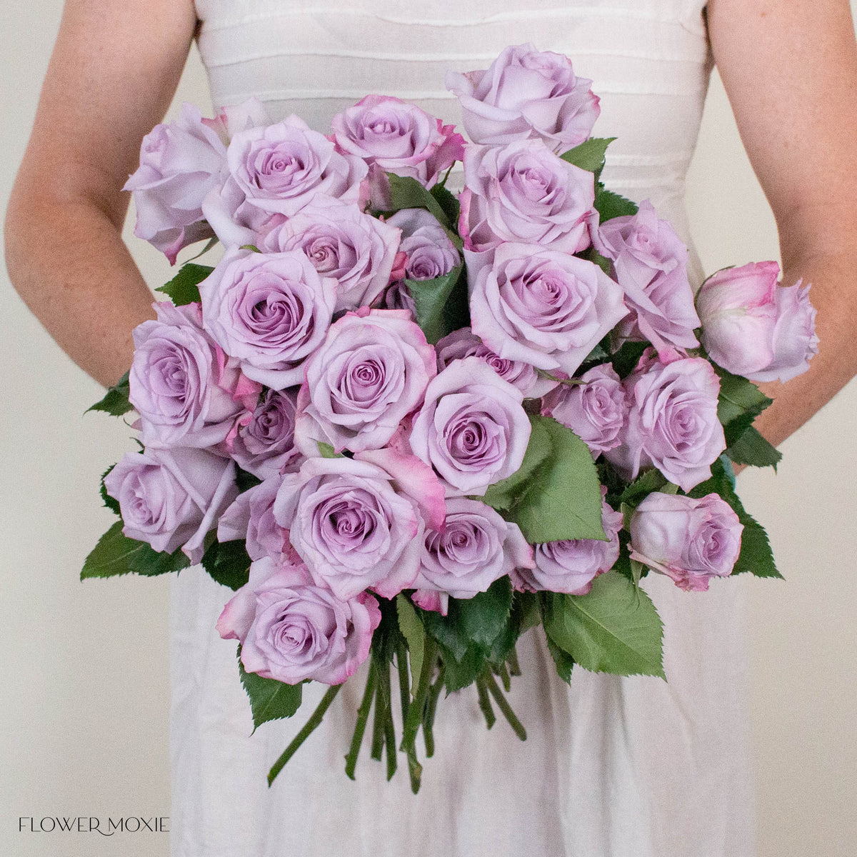 Lavender Purple Haze Rose