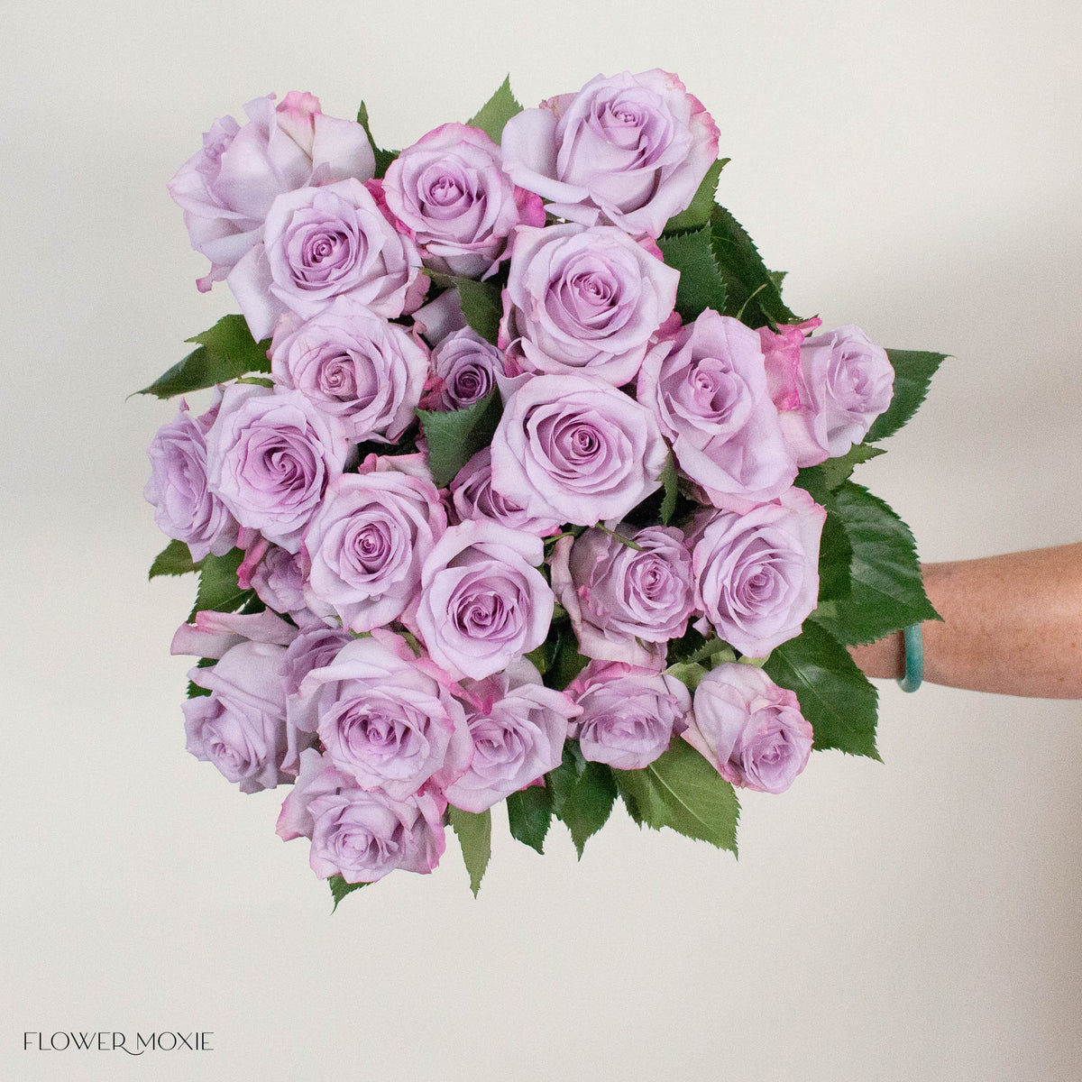 Lavender Purple Haze Rose